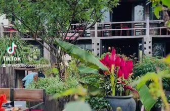 [☕️🇻🇳] La Dao Spa – Coffee House, homestay 🥤 Top1Coffee ☕️ Lá Dao chuẩn bị đón khách chiều nay, shares-0✔️ , likes-0❤️️ , date-2023-12-11 09:07:14🇻🇳🇻🇳🇻🇳📰🆕