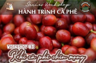 [☕️🇻🇳] Cà phê Đồng Xanh – Greenfields Coffee 🥤 Top1Coffee ☕️ Series Workshop: HÀNH TRÌNH CÀ PHÊChủ đề 3: KHI CÀ PHÊ CHÍN MỌNGSau một năm chăm sóc, vun vén cho cây cà phê, thì cuối năm , shares-0✔️ , likes-18❤️️ , date-2023-12-02 04:05:26🇻🇳🇻🇳🇻🇳📰🆕