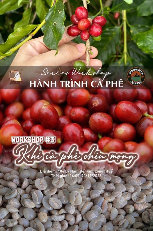 [☕️🇻🇳] Piko Coffee 🥤 Top1Coffee ☕️ Noel này, bạn sẽ chẳng cô đơn nữa vì đã có “A 𝐂𝐨𝐳𝐲 𝐋𝐢𝐭𝐭𝐥𝐞 𝐂𝐡𝐫𝐢𝐬𝐭𝐦𝐚𝐬 here with you”Khi giai điệu quen thuộc ngân vang, cũng l , shares-1✔️ , likes-528❤️️ , date-2023-12-02 04:06:25🇻🇳🇻🇳🇻🇳📰🆕