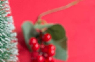 [☕️🇻🇳] Navido Coffee 🥤 Top1Coffee ☕️ Chúc bạn một mùa Giáng Sinh thật ấm áp..
Merry Christmas 2023  #navido #christmasvibe
#phumyhungcafe #coffeestory
#푸미흥커피맛집 #나비도 , shares-1✔️ , likes-3❤️️ , date-2023-12-04 17:31:35🇻🇳🇻🇳🇻🇳📰🆕