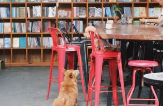 [☕️🇻🇳] Nhã Nam Books N’ Coffee 🥤 Top1Coffee ☕️ “Thật đúng lúc, buồn ngủ gặp chiếu manh. Đa tạ. Nếu bác thích, tôi sẽ liếm cho bác bất kỳ ở chỗ nào.” Nhìn bức ảnh này, tự dưng  , shares-2✔️ , likes-68❤️️ , date-2023-12-05 07:25:55🇻🇳🇻🇳🇻🇳📰🆕