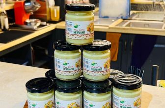 [☕️🇻🇳] Newland Coffee 🥤 Top1Coffee ☕️ 𝐍𝐞𝐰𝐥𝐚𝐧𝐝 𝐜𝐨𝐟𝐟𝐞𝐞 𝐫𝐚 𝐦𝐚̆́𝐭 𝐬𝐚̉𝐧 𝐩𝐡𝐚̂̉𝐦 𝐦𝐨̛́𝐢
“𝑻𝒓𝒂̀ 𝑮𝒖̛̀𝒏𝒈 𝑵𝒆𝒘𝒍𝒂𝒏𝒅“
Đ𝒊̉𝙣𝙝 𝙘𝙖𝙤 𝙝𝒖̛𝒐̛𝙣𝙜 𝙫𝒊̣ 𝙩𝙝𝙞𝒆̂𝙣  , shares-0✔️ , likes-13❤️️ , date-2023-12-06 03:01:03🇻🇳🇻🇳🇻🇳📰🆕