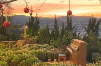 [☕️🇻🇳] Ngày của Nắng Coffee+ 🥤 Top1Coffee ☕️ Với tôi một mình không phải là cô đơn, một mình để tìm những khoảng lặng của riêng mình hay một chút bình yên. Trong đó có bạn…  , shares-0✔️ , likes-0❤️️ , date-2023-12-09 11:23:20🇻🇳🇻🇳🇻🇳📰🆕