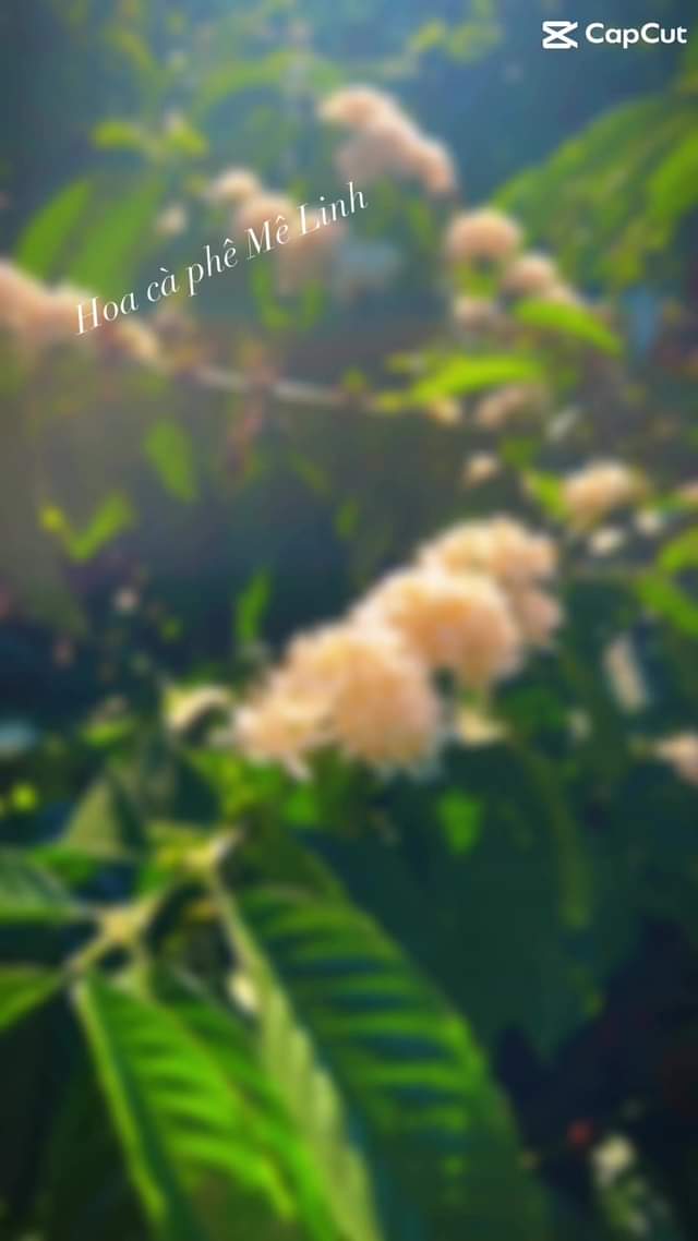 TOP 5 bơm hút chân không mini tiện lợi tốt nhất  [🛍️🇻🇳] fado.vn