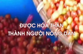 [☕️🇻🇳] Cà phê Đồng Xanh – Greenfields Coffee 🥤 Top1Coffee ☕️ Tham gia Workshop để làm “người nông dân” chế biến cà phê Arabica A Lưới cùng Greenfields Coffee  —–
Series Workshop: HÀNH T , shares-0✔️ , likes-8❤️️ , date-2023-12-19 06:50:49🇻🇳🇻🇳🇻🇳📰🆕