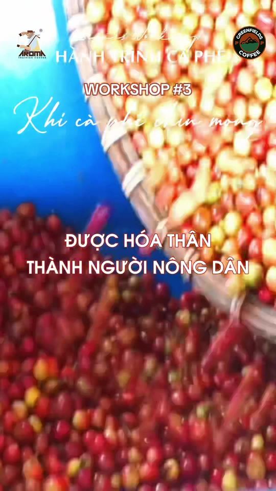 Tham gia Workshop để làm