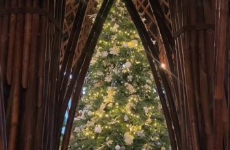 [☕️🇻🇳] Nocenco Coffee 🥤 Top1Coffee ☕️ Gió mùa đông bay vào cửa nhỏ, phố em buồn ngọn cỏ cũng buồn theo. Cất nỗi buồn để đón Giáng sinh cùng NOCENCO thôi nào bạn ơi (Đ , shares-3✔️ , likes-13❤️️ , date-2023-12-16 11:52:05🇻🇳🇻🇳🇻🇳📰🆕