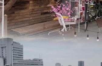 [☕️🇻🇳] Sam Rooftop Coffee 🥤 Top1Coffee ☕️ Hoa Đào  Hoa Mai  nhà chúng tớ bắt đầu nở rồi các cậu ơi. Chúng tớ ghi nhận kỉ lục quán có cây mai cây đào đón TẾT sớm nhất Hà N , shares-0✔️ , likes-0❤️️ , date-2023-12-12 11:18:04🇻🇳🇻🇳🇻🇳📰🆕