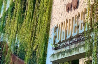 [☕️🇻🇳] ForDeer – Coffee with tree 🥤 Top1Coffee ☕️ Chạm vào cây xanh – chữa lành cảm xúc, “Gió lọt qua khe cửa
Cứ thế mà bay đi
Thoảng nghe lời của đất
Với mầm cây thầm thì.”   , shares-0✔️ , likes-18❤️️ , date-2023-12-09 12:51:32🇻🇳🇻🇳🇻🇳📰🆕