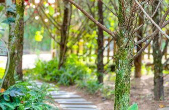[☕️🇻🇳] Ngày của Nắng Coffee+ 🥤 Top1Coffee ☕️ Chẳng có tiêu chuẩn nào cho cái đẹp cả. Những thứ mình yêu – tất cả đều đẹp  #Dalat #Caphe #Capheviewdep #Hoanghon #Checkin #dal , shares-1✔️ , likes-16❤️️ , date-2023-12-07 09:46:27🇻🇳🇻🇳🇻🇳📰🆕