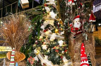 [☕️🇻🇳] Koilands Coffee 🥤 Top1Coffee ☕️ 𝑇𝑎̣̆𝑛𝑔 𝑎𝑖 đ𝑜́ 𝑚𝑜̣̂𝑡 𝑐ℎ𝑢́𝑡 𝑏𝑖̀𝑛ℎ 𝑦𝑒̂𝑛
𝑋𝑜𝑎́ 𝑡𝑎𝑛 ℎ𝑒̂́𝑡 𝑛𝑜̂̃𝑖 𝑚𝑢𝑜̣̂𝑛 𝑝ℎ𝑖𝑒̂𝑛
Đ𝑒̂̉ 𝑠𝑜̛́𝑚 𝑚𝑎𝑖 𝑚𝑜̂̃𝑖 𝑘ℎ𝑖 𝑐𝑜́ 𝑡ℎ𝑢̛́𝑐 𝑑𝑎̣̂𝑦
𝑆𝑜̂́𝑛𝑔 𝑦𝑒̂𝑢 , shares-3✔️ , likes-7❤️️ , date-2023-12-16 11:04:56🇻🇳🇻🇳🇻🇳📰🆕