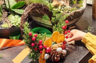 [☕️🇻🇳] ForDeer – Coffee with tree 🥤 Top1Coffee ☕️ NOEL SPECIAL WORKSHOP: LÀM VÒNG NGUYỆT QUẾ  Thời gian: Thứ 7, Chủ Nhật hàng tuần từ ngày 09/12
– Sáng: 10h – 11h30
– Chiều: 15 , shares-0✔️ , likes-7❤️️ , date-2023-12-13 13:00:28🇻🇳🇻🇳🇻🇳📰🆕