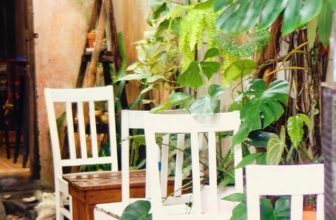 [☕️🇻🇳] BỤI Coffee Chill – Plants 🥤 Top1Coffee ☕️ Healing my soul
·, shares-0✔️ , likes-0❤️️ , date-2023-12-12 00:56:42🇻🇳🇻🇳🇻🇳📰🆕