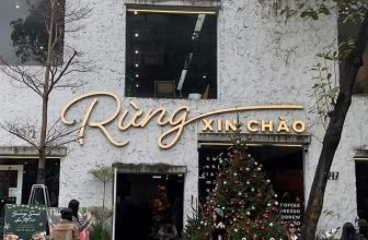 [☕️🇻🇳] ForDeer – Coffee with tree 🥤 Top1Coffee ☕️ Giáng Sinh hay dáng xinh? Nhanh chân đến Rừng để rinh ngay ảnh đẹp trước thềm Noel bạn nhaaa #rung_tru_an #rung_xin_chao, shares-0✔️ , likes-0❤️️ , date-2023-12-13 02:00:35🇻🇳🇻🇳🇻🇳📰🆕