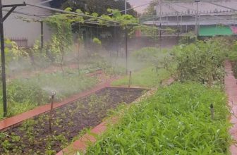 [☕️🇻🇳] Coffee HUỲNH HƯƠNG 🥤 Top1Coffee ☕️ 𝐂𝐨̛𝐦 𝐍𝐢𝐞̂𝐮 𝐍𝐨̂̀𝐢 Đ𝐚̂́𝐭 𝐇𝐮𝐲̀𝐧𝐡 𝐇𝐮̛𝐨̛𝐧𝐠
Phục vụ từ 10h-16h mỗi ngày  Với các món đồng quê đúng chuẩn chất lượng
Rau củ hầu hết  , shares-0✔️ , likes-3❤️️ , date-2023-12-14 01:40:20🇻🇳🇻🇳🇻🇳📰🆕