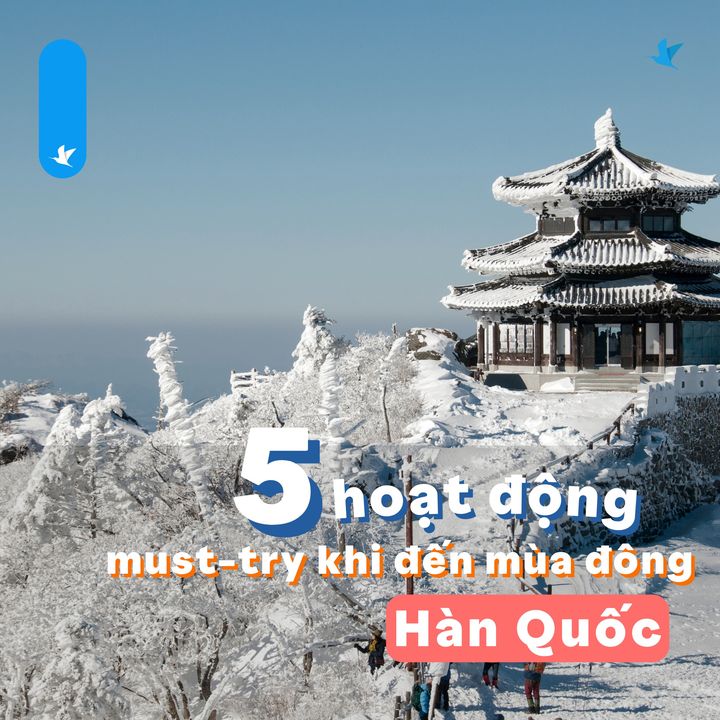 [✈🇻🇳] Traveloka Vietnam – Sống Trải Nghiệm ✈ Top1Travel 🌏 – #TravelokaKhamPha  Top 5 hoạt động thú vị chắc chắn sẽ khiến bạn ” mờ ê mê” m …