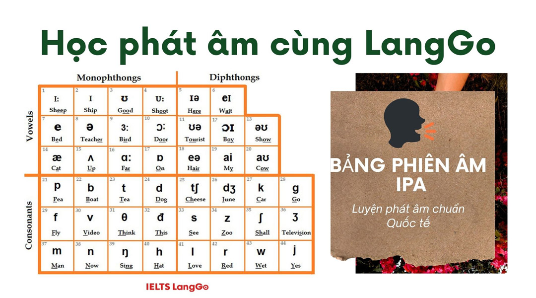 [👨‍🎓🇻🇳] Tổng hợp 100 cặp từ trái nghĩa trong tiếng Anh phổ biến nhất