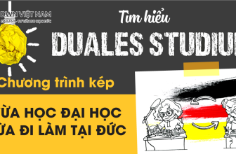 Tất Tần Tật Về Duales Studium Bạn Cần Biết  [👨‍🎓🇻🇳] dwn.com.vn