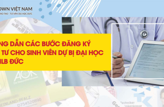 Hướng Dẫn Chi Tiết Các Bước đăng Ký BHYT Tư Cho Sinh Viên Dự Bị đại Học  [👨‍🎓🇻🇳] dwn.com.vn