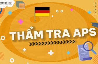 Thẩm Tra APS – DWN VIỆT NAM  [👨‍🎓🇻🇳] dwn.com.vn