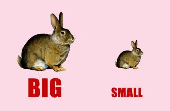 [👨‍🎓🇻🇳] Tổng hợp 100 cặp từ trái nghĩa trong tiếng Anh phổ biến nhất