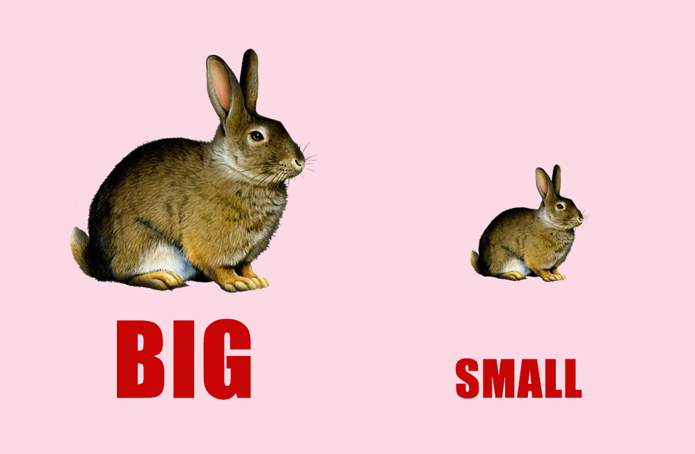 [👨‍🎓🇻🇳] Internet Slang: Học loạt từ lóng tiếng Anh cực thịnh hành trên mạng – LangGo