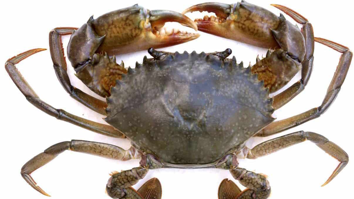 69++cap chúc Tết người yêu ngắn gọn, đầy tình cảm  [🛍️🇻🇳] fado.vn