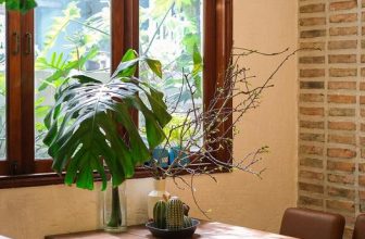 [☕️🇻🇳] Oromia Coffee – Lounge🥤 Top1Coffee ☕️ Vibes mùa xuân, shares-0✔️ , likes-19❤️️ , date-2024-01-15 03:56:32🇻🇳🇻🇳🇻🇳📰🆕