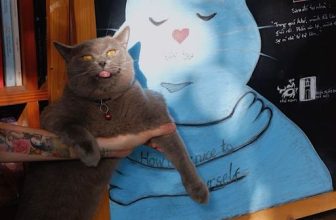 [☕️🇻🇳] Nhã Nam Books N’ Coffee 🥤 Top1Coffee ☕️ “Trong quá khứ, mình đã làm giỏi rồi. Phần còn lại, mình thực sự có thể từ từ làm.” Mong rằng lúc này bạn đã biết cách ôm lấy bả , shares-1✔️ , likes-37❤️️ , date-2024-01-13 09:17:36🇻🇳🇻🇳🇻🇳📰🆕