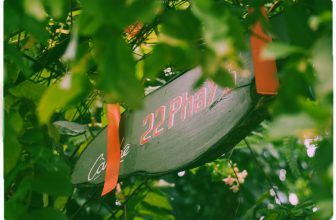 [☕️🇻🇳] 22 phẩy 5 coffee 🥤 Top1Coffee ☕️ Những thước Film sống cuối cùng, của những ngày cuối cùng nơi ngôi nhà nhỏ. Những ngày mà đi đến đâu, chạm vào thứ gì cũng thấy  , shares-11✔️ , likes-154❤️️ , date-2023-06-12 01:48:52🇻🇳🇻🇳🇻🇳📰🆕