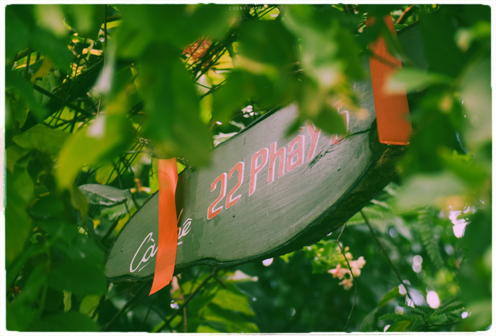 [☕️🇻🇳] 22 phẩy 5 coffee 🥤 Top1Coffee ☕️ Những thước Film sống cuối cùng, của những ngày cuối cùng nơi ngôi nhà nhỏ. Những ngày mà đi đến đâu, chạm vào thứ gì cũng thấy  , shares-11✔️ , likes-154❤️️ , date-2023-06-12 01:48:52🇻🇳🇻🇳🇻🇳📰🆕