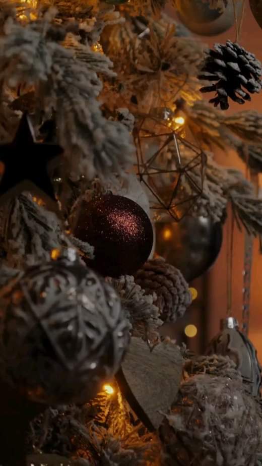 [☕️🇻🇳] 15.22 café – wine – live music ☕️ Top1Coffee ☕️
Christmas 23 and new year 24
@15.22cafe
·, shares-0✔️ , likes-0❤️️ , date-2023-12-22 04:39:40🇻🇳🇻🇳🇻🇳📰🆕