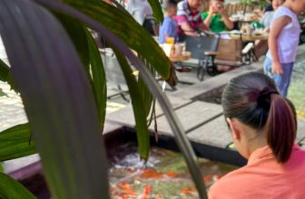 [☕️🇻🇳] Koilands Coffee 🥤 Top1Coffee ☕️ 𝑂̂ 𝑘𝑖̀𝑎 𝑏𝑎̆́𝑡 𝑔𝑎̣̆𝑝 𝑐𝑎̂𝑦 𝑡ℎ𝑎𝑦 𝑙𝑎́
𝐷𝑢̀ 𝑏𝑖𝑒̂́𝑡 𝑥𝑢𝑎̂𝑛 𝑠𝑎𝑛𝑔 𝑣𝑎̂̃𝑛 𝑛𝑔𝑜̛̃ 𝑛𝑔𝑎̀𝑛𝑔
𝐵𝑢̛𝑜̛́𝑚 𝑣𝑜̛̀𝑛 𝑐ℎ𝑎𝑜 𝑐𝑎̀𝑛ℎ 𝑏𝑒̂𝑛 ℎ𝑜𝑎 𝑛𝑜̛̉
𝐺𝑖𝑜̣𝑡 𝑛𝑎̆́𝑛 , shares-3✔️ , likes-7❤️️ , date-2023-12-29 14:25:08🇻🇳🇻🇳🇻🇳📰🆕