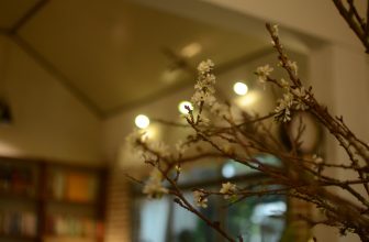 [☕️🇻🇳] PHD Book – Coffee 🥤 Top1Coffee ☕️ Hoa mận tháng 01.2024, shares-0✔️ , likes-47❤️️ , date-2024-01-10 06:07:47🇻🇳🇻🇳🇻🇳📰🆕