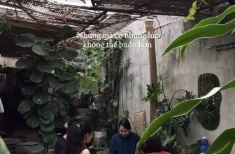 [☕️🇻🇳] BỤI Coffee Chill – Plants 🥤 Top1Coffee ☕️ Cuộc sống đôi lúc phải học cách chấp nhận, shares-0✔️ , likes-0❤️️ , date-2024-01-12 14:58:41🇻🇳🇻🇳🇻🇳📰🆕