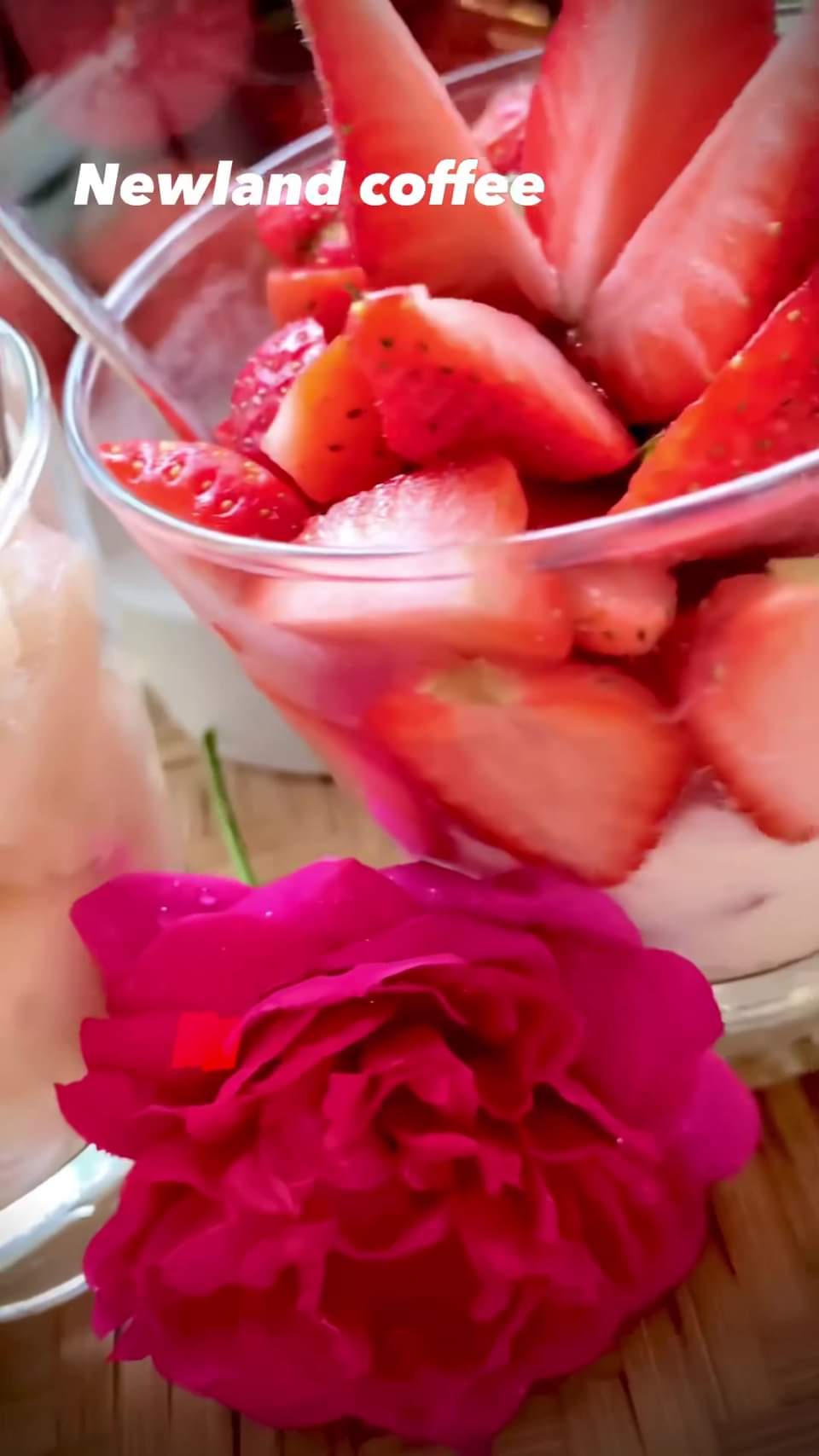 [☕️🇻🇳] Newland Coffee 🥤 Top1Coffee ☕️ 𝒕𝒓𝒐̛̀𝒊 𝒙𝒂𝒏𝒉 𝒎𝒂̂𝒚 𝒕𝒓𝒂̆́𝒏𝒈 𝒏𝒂̆́𝒏𝒈 𝒗𝒂̀𝒏𝒈 .
𝒆𝒎 𝒌𝒐 𝒔𝒂𝒚 𝒏𝒂̆́𝒏𝒈 ,𝒏𝒉𝒖̛𝒏𝒈 𝒎𝒂̀ 𝒔𝒂𝒚 𝒂𝒏𝒉, shares-0✔️ , likes-11❤️️ , date-2024-01-13 05:31:34🇻🇳🇻🇳🇻🇳📰🆕