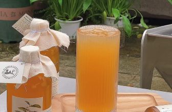 [☕️🇻🇳] ForDeer – Coffee with tree 🥤 Top1Coffee ☕️ Bớt coca, thêm kombucha cho năm mới thêm sức khoẻ! #rung_tru_an #rung_xin_chao, shares-0✔️ , likes-0❤️️ , date-2024-01-15 02:00:53🇻🇳🇻🇳🇻🇳📰🆕