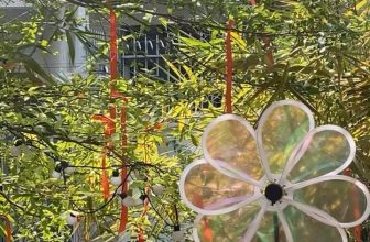 [☕️🇻🇳] Hạ An Corner – Trà – Bánh – Cafe – Piano 🥤 Top1Coffee ☕️ Hôm nay nắng đẹp đến nức lòng    𝗛𝗮̣ 𝗔𝗻 𝗖𝗼𝗿𝗻𝗲𝗿
[𝒯𝓇𝒶̀ – ℬ𝒶́𝓃𝒽 – 𝒞𝒶̀ 𝒫𝒽ℯ̂ – 𝒫𝒾𝒶𝓃ℴ]
———————
41/6 Đồng Xoài, p , shares-0✔️ , likes-0❤️️ , date-2024-01-09 03:00:25🇻🇳🇻🇳🇻🇳📰🆕