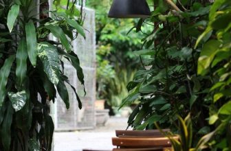 [☕️🇻🇳] BỤI Coffee Chill – Plants 🥤 Top1Coffee ☕️ “Cuộc sống không phải là chờ đợi cơn mưa qua đi, mà học cách nhảy múa dưới cơn mưa.” —–
Bụi Coffee
𝐀𝐝𝐝: 49 Sao Biển – Vĩnh H , shares-0✔️ , likes-7❤️️ , date-2024-01-16 15:00:16🇻🇳🇻🇳🇻🇳📰🆕