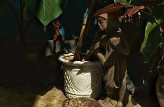 [☕️🇻🇳] NAM house 🥤 Top1Coffee ☕️ những ngày này
thời tiết thật dễ chịu
yêu những vệt nắng ban trưa …
___________
NAM house
• open 6:00 – 23:00
• 15/1 le , shares-0✔️ , likes-29❤️️ , date-2024-01-12 06:03:43🇻🇳🇻🇳🇻🇳📰🆕