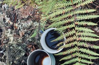 [☕️🇻🇳] Cố Thời Coffee 🥤 Top1Coffee ☕️ Nay đổi view đổi nhạc về quê uống cafe  —————
Cố Thời Coffee
145/6 Nguyễn Đình Chính, P.11, Q. Phú Nhuận
7AM – 5PM
, shares-0✔️ , likes-4❤️️ , date-2024-01-14 04:34:51🇻🇳🇻🇳🇻🇳📰🆕