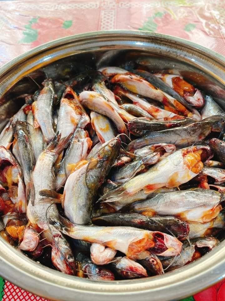 [🍜🇻🇳] CÀ MÈN – Đặc sản quê hương Quảng Trị 🍔Top1Food 🍜 – Câu cá ngạnh



Đi câu cá ngạnh là mê lắm luôn. Nếu vào mùa, cá ăn liên tục, …