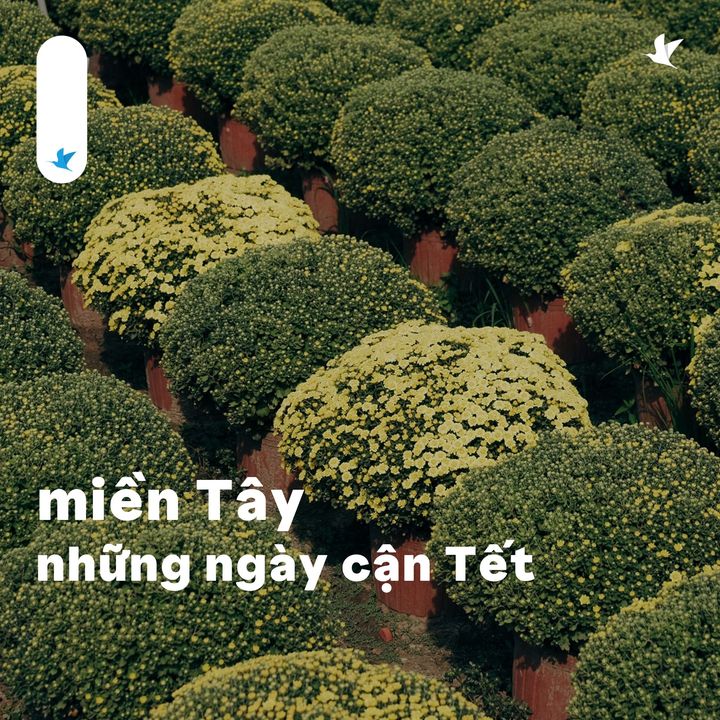 [✈🇻🇳] Traveloka Vietnam – Sống Trải Nghiệm ✈ Top1Travel 🌏 – Chỗ các bạn đã chuẩn bị Tết tới đâu rồi#TravelokaKhamPha  Cùng Traveloka ng …