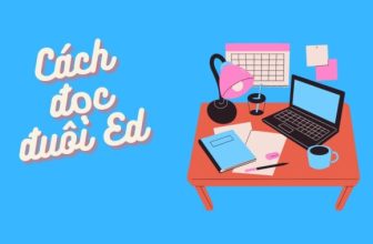 [👨‍🎓🇻🇳] Cách đọc đuôi ed giúp bạn không bị bỡ ngỡ khi đi thi