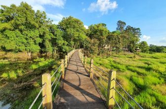[❤️️🇻🇳] Địa điểm tham quan, vui chơi dịp tết âm lịch gần Sài Gòn 2024