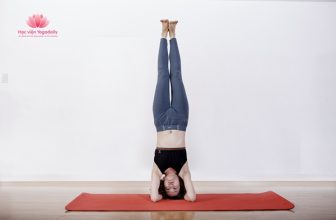 Những quan điểm chưa đúng về Yoga [🆕🇻🇳] yogadaily.com.vn