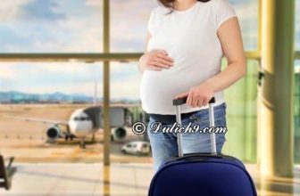 [🌏🇻🇳] Tất tần tật kinh nghiệm đi máy bay cho bà bầu lần đầu an toàn