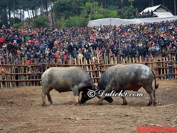 Những lễ hội văn hóa truyền thống không thể không tham dự khi du lịch Sơn La