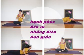 Nhật ký Yoga – Hạnh phúc từ những điều đơn giản [🆕🇻🇳] yogadaily.com.vn