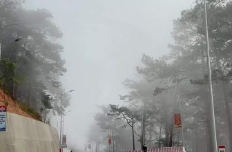 [☕️🇻🇳] Horizon Coffee – Đà Lạt 🥤 Top1Coffee ☕️ Lễ này mọi người đã có lịch đưa Gia Đình đi đâu chơi chưa? Nếu tới Đà Lạt mời bạn ghé thăm Horizon Cofee ngắm Đèo Pren nhé  #cof , shares-56✔️ , likes-7K❤️️ , date-2024-02-08 07:36:22🇻🇳🇻🇳🇻🇳📰🆕